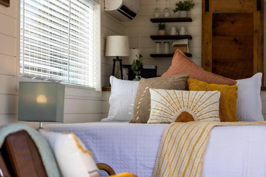New The Sunrise Cozy Container